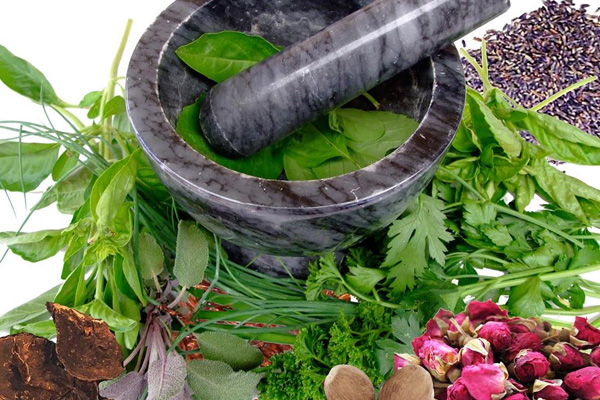 Sağlık Bakanlığı’ndan bitkisel ilaç hamlesi