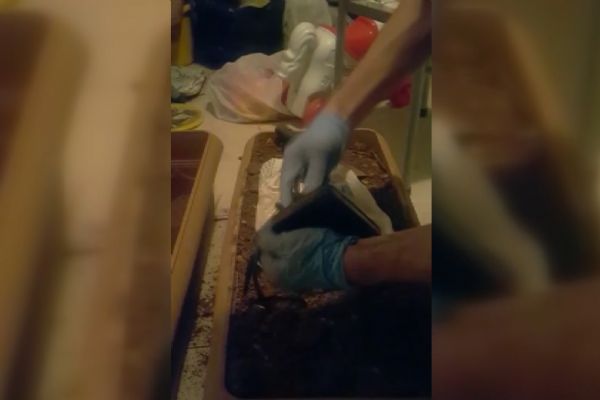 FETÖ üyeleri Hard disk'i saksıya sakladı