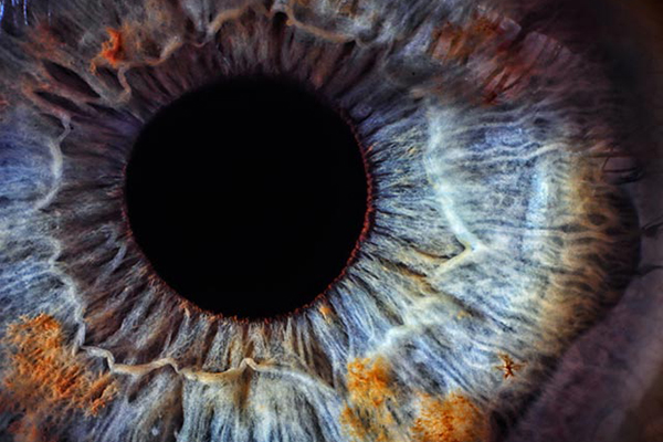 Yeşil yapraklı sebzeler sarı nokta hastalığını önleyebilir