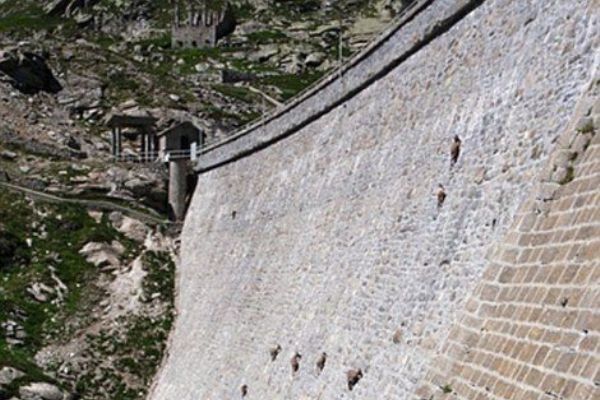 İtalya'da dağ keçileri ölüme meydan okuyor