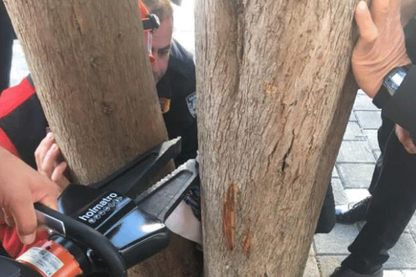 Okul bahçesinde korkutan olay! İtfaiye ekipleri kurtardı