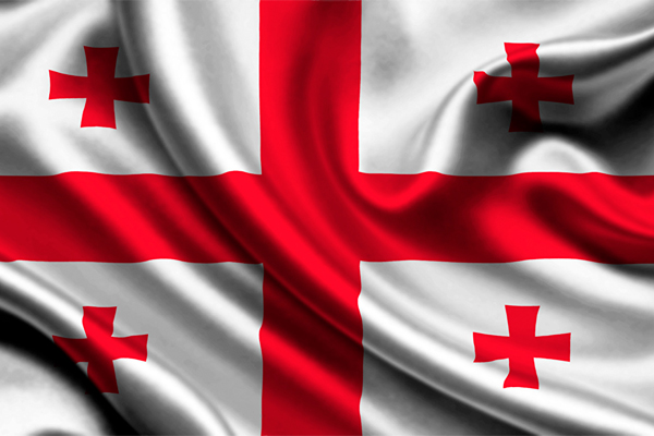 Gürcistan'da Cumhurbaşkanı seçiminde 25 aday yarışacak