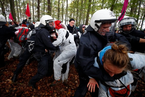 Almanya'da çevreciler orman direnişine devam ediyor