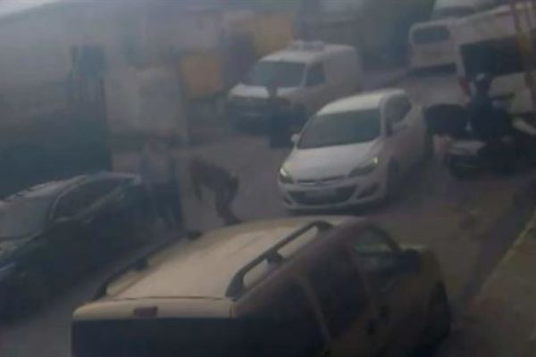 Kapkaççıya direnirken canından oluyordu