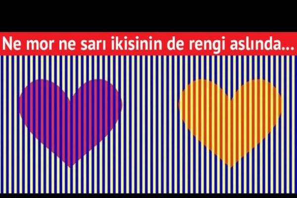 Bu fotoğraflardaki görsel illüzyon kafanızı karıştıracak