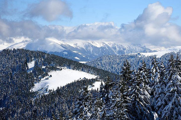 Örümcek Ormanlarında iki mevsim bir arada yaşanıyor