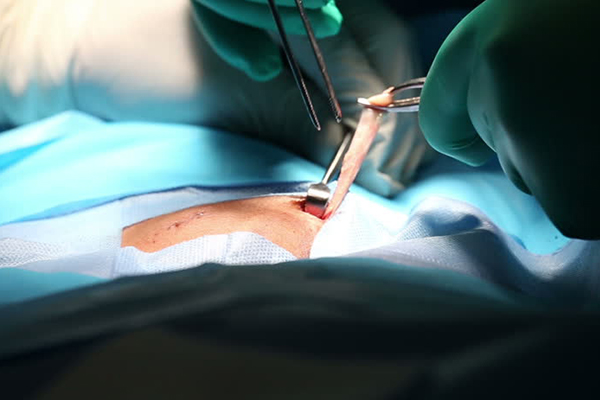 Tıp öğrencileri ameliyat becerilerini kaybediyor