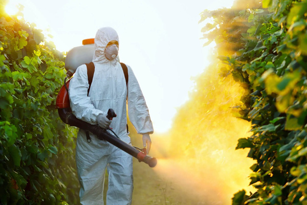 Pestisitler: Fransa'da metam-sodyum ürünleri tamamen yasaklandı