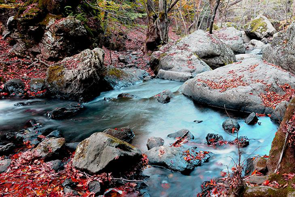 Yalova'da sonbahar güzelliği