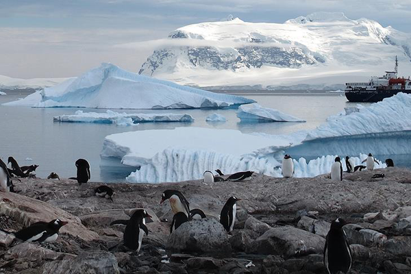 'Antarktika'yı Türkiye ile beraber keşfedeceğiz'