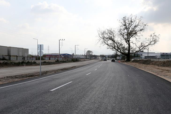 Asırlık çınar ağacı için güzergah değişti