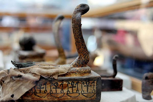 Mısır'da mumyalanmış hayvanlar bulundu