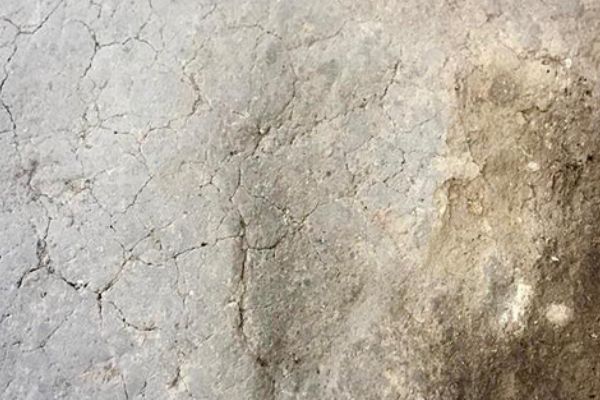 7 bin 500 yıllık 'ayak izleri' bulundu