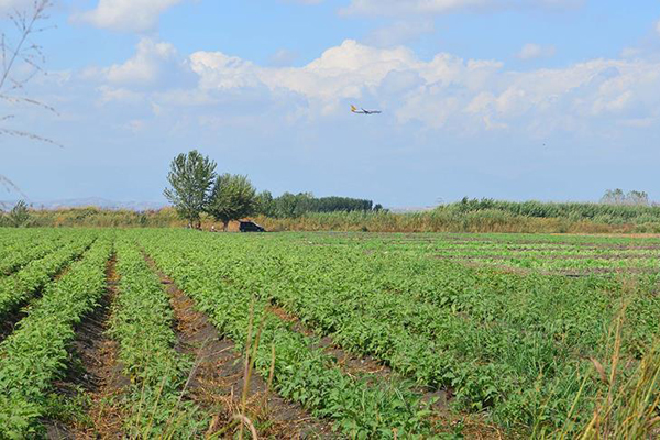Çiftçilerin Hazine arazilerini kiralayabilmesi için son fırsat