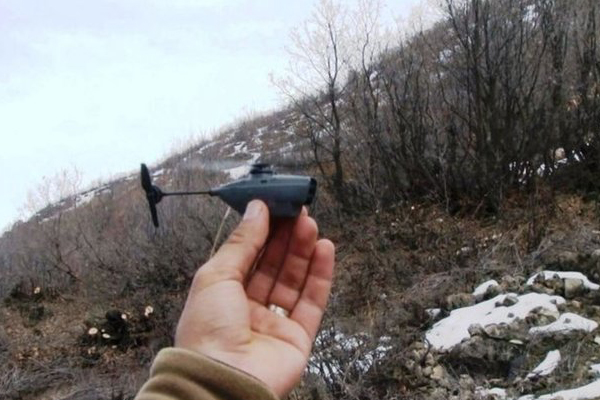 PKK'lı teröristleri 'eşek arısı' öldürdü