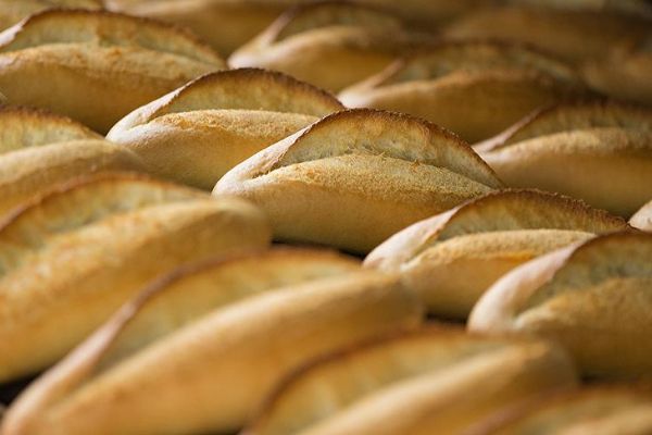 'Ekmek fiyatlarında un bahane edilmesin'