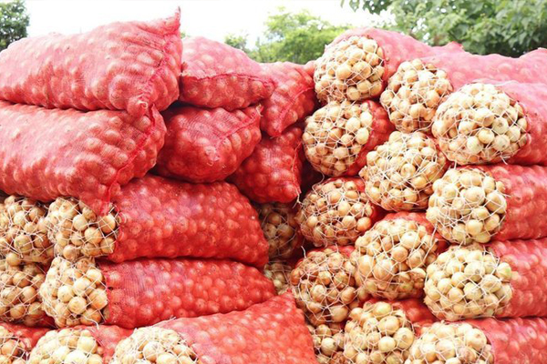 Stoklanan soğanı Maliye buldu