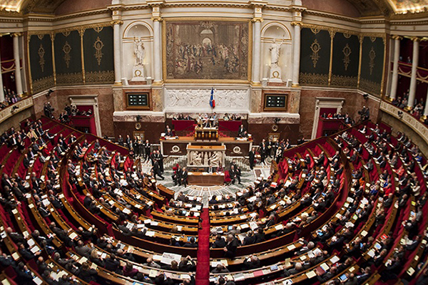 Fransız vekilden ırkçı öneri