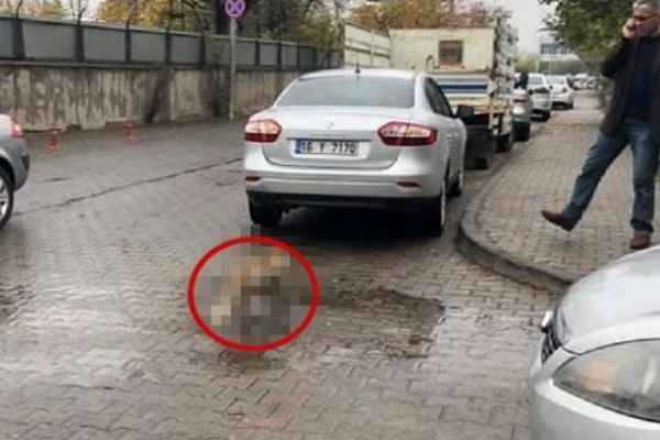 Kent merkezinde onu görenler şaşkına döndü