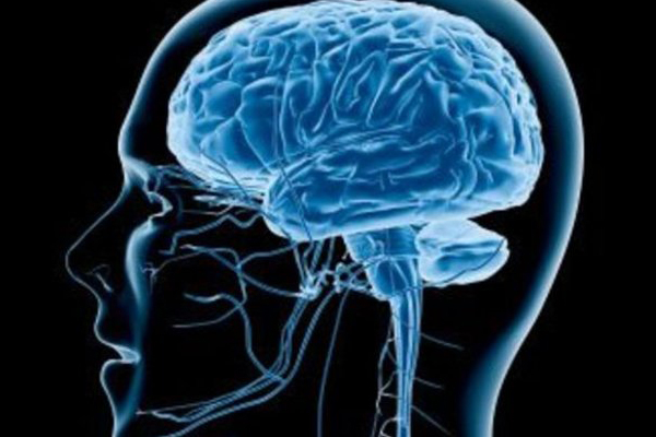İnsan beyninin bilinmeyen bir bölgesi keşfedildi