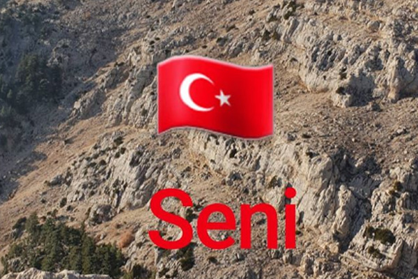 Zlatan Ibrahimovic'ten Türk bayraklı paylaşım