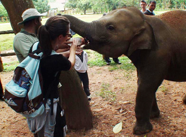 Dünyanın ilk ve tek fil yetimhanesi - 6