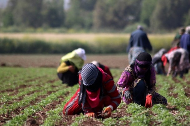 Suriyelilerin çadırlardaki zorlu yaşamı - 676
