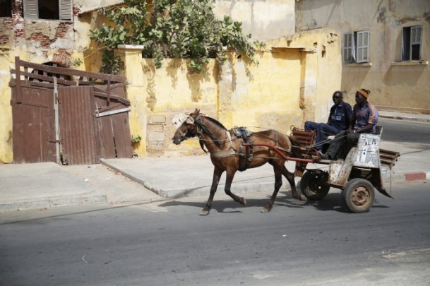 'Afrika'nın Venedik'i Saint Louis - 4