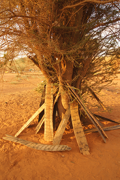 Afrika'da Hafız Eğitimi ve Luh - 6