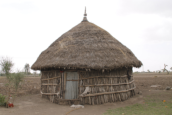 Afrika artık ütopya değil - 17