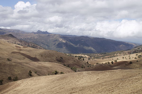 Afrika artık ütopya değil - 11