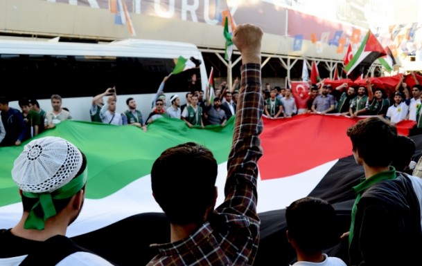 İstanbul'da 'Mavi Marmara' yürüyüşü - 848