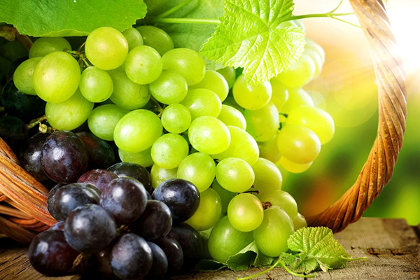 Peygamber Efendimizin Tavsiye Ettiği Yiyecekler - 3