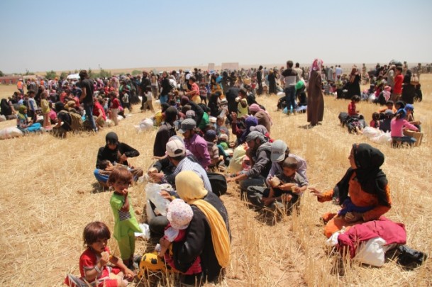Rasulayn'dan kaçan Suriyelilerin Türkiye'ye alınmaları sürüyor - 8