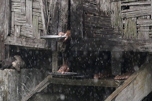 Arakanlı Müslümanlar yağmur suyu içiyor - 14