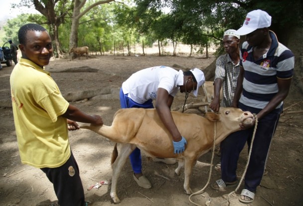 TİKA’dan Senegal’de sağlık taraması - 7