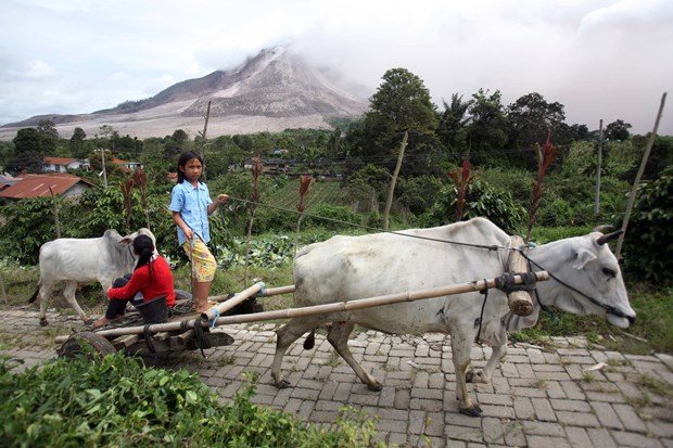Binlerce kişi tahliye edildi - 9