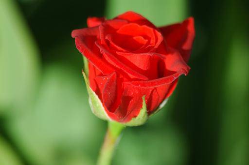 Peygamber Efendimiz (S.A.V)'in Ramazanı - 7