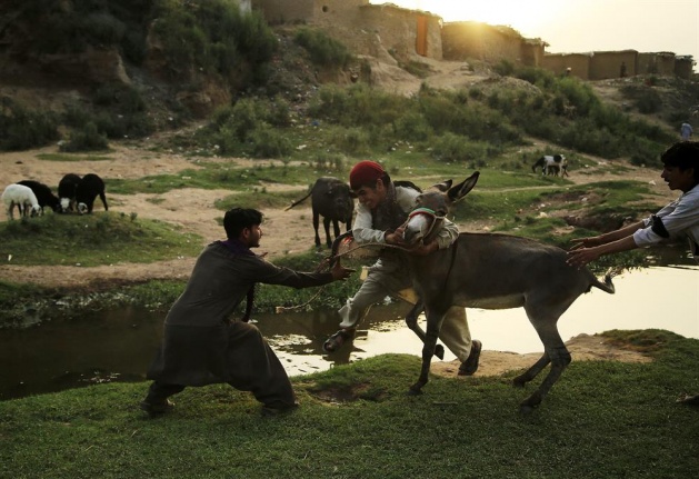 Yaşayacak yer arıyorlar - 5