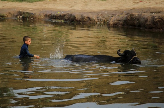 Yaşayacak yer arıyorlar - 4