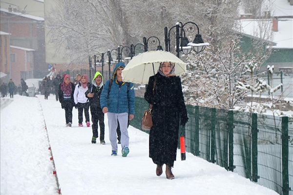 Doğu Anadolu'da kar yağışı - 7