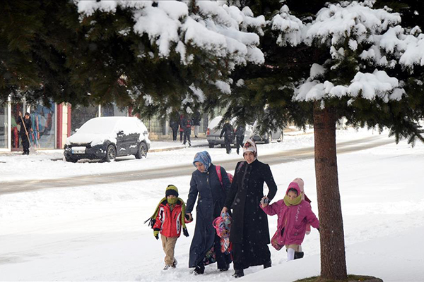 Doğu Anadolu'da kar yağışı - 6