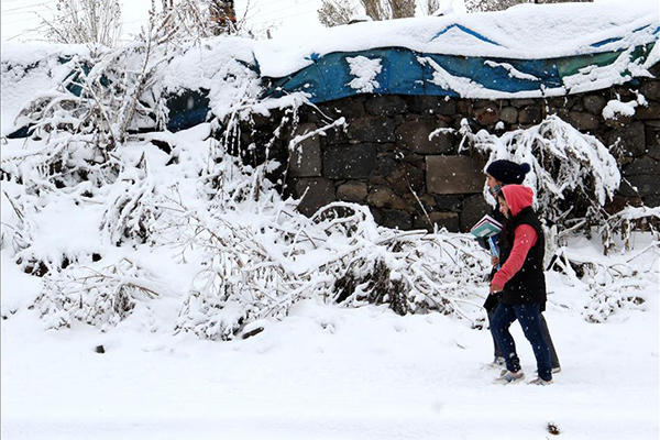 Doğu Anadolu'da kar yağışı - 4