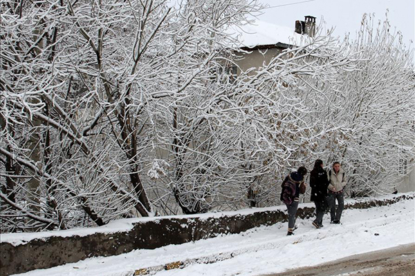 Doğu Anadolu'da kar yağışı - 1