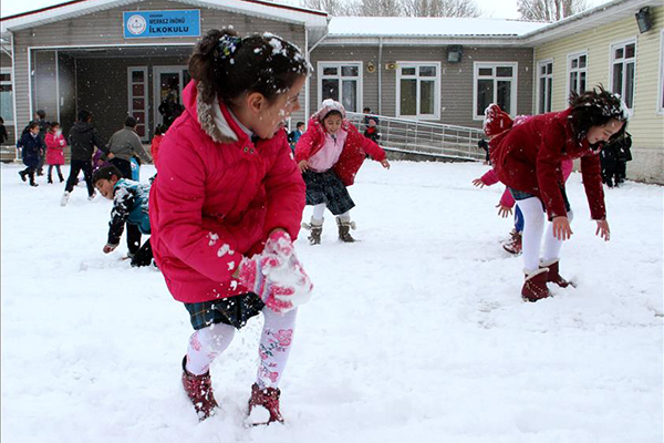 Doğu Anadolu'da kar yağışı - 3