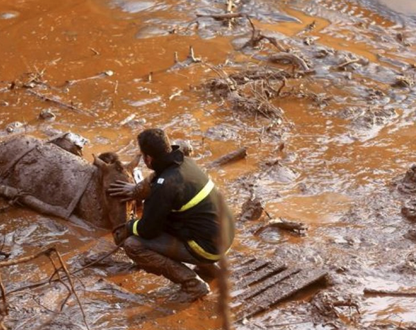 2015 yılına damga vuran fotoğraflar - 42