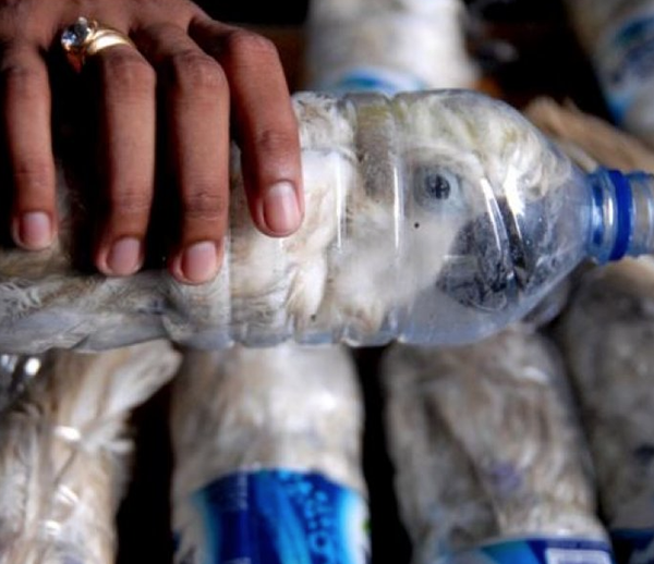 2015 yılına damga vuran fotoğraflar - 25