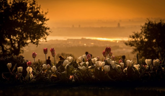 Fotoğraflarla İstanbul'un simgeleri - 9