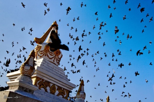 Moğolistan'dan kış fotoğrafları - 620