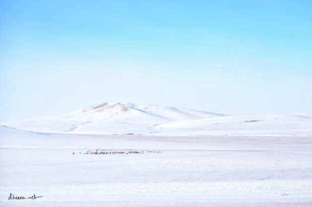 Moğolistan'dan kış fotoğrafları - 889
